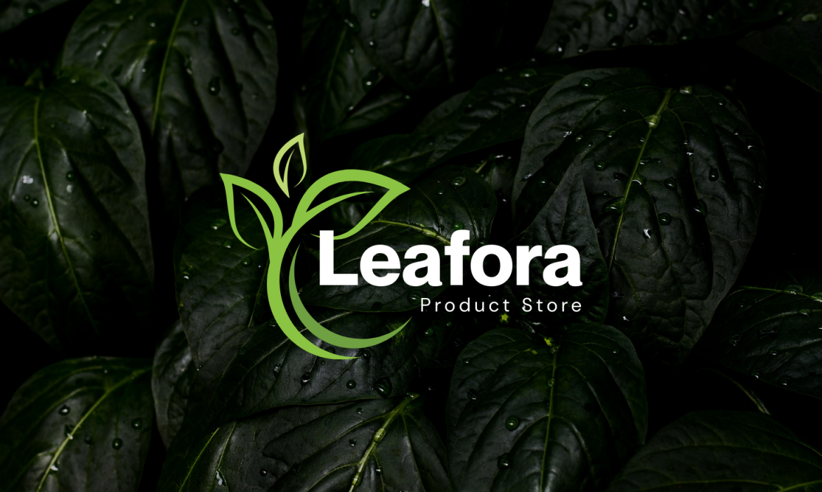 Sustainable Lifestyle Brands