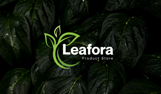 Sustainable Lifestyle Brands